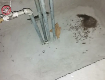 郴州卫生间测漏水价格明细